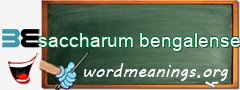 WordMeaning blackboard for saccharum bengalense
